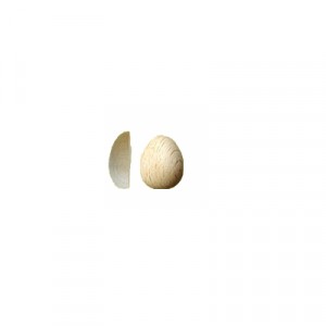 Mezzo Uovo Mis.1 cm 2x1.8 - Busta da100 pz