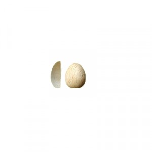 Mezzo Uovo Mis. 1- cm 2x1.8 - Busta da 12 pz